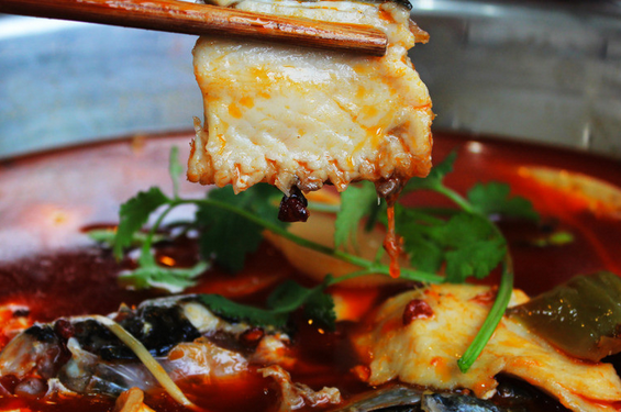 鱼火锅花季传媒官网下载