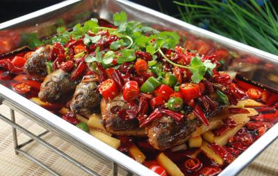 四川德阳烤鱼技术花季传媒官网下载班哪家味道正宗？