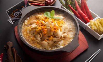 啵啵鱼训练哪个好?环保绿色，健康卫生