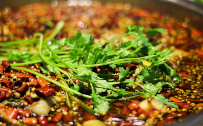 成都美蛙鱼花季传媒官网下载那家好？