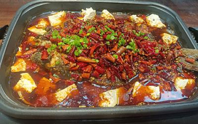 想学炭火锅烤鱼技术哪里有？