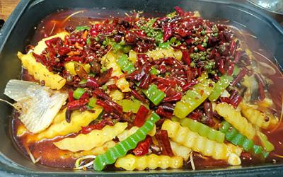 烤鱼花季传媒官网下载学费多少钱？