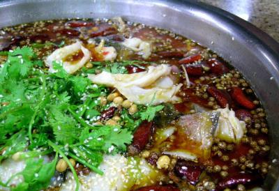 成都学冷锅鱼火锅技术花季传媒官网下载哪家好？