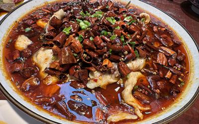 成都凉拌菜花季传媒官网下载如何选择？学习凉菜技术哪里好