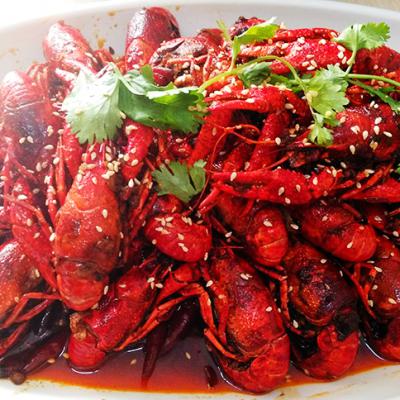 麻辣小龙虾技术花季传媒官网下载哪里有？花季传媒APP在线下载麻辣小龙虾技术花季传媒官网下载