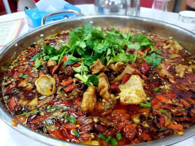 肥肠鱼火锅技术花季传媒官网下载哪里比较好？