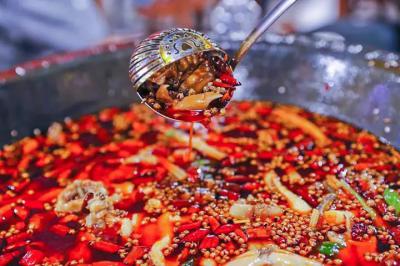 肥肠鱼火锅技术花季传媒官网下载哪里比较好？