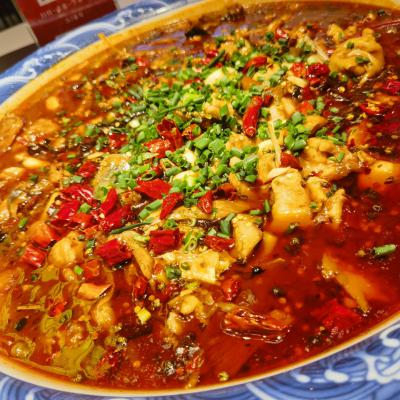 重庆来凤鱼花季传媒官网下载学校哪家好？深度解析花季传媒APP在线下载为何备受青睐